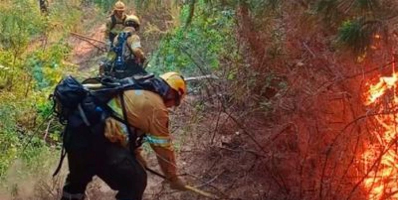 Investigan a funcionarios por el incendio en el Parque Nacional Los Alerces