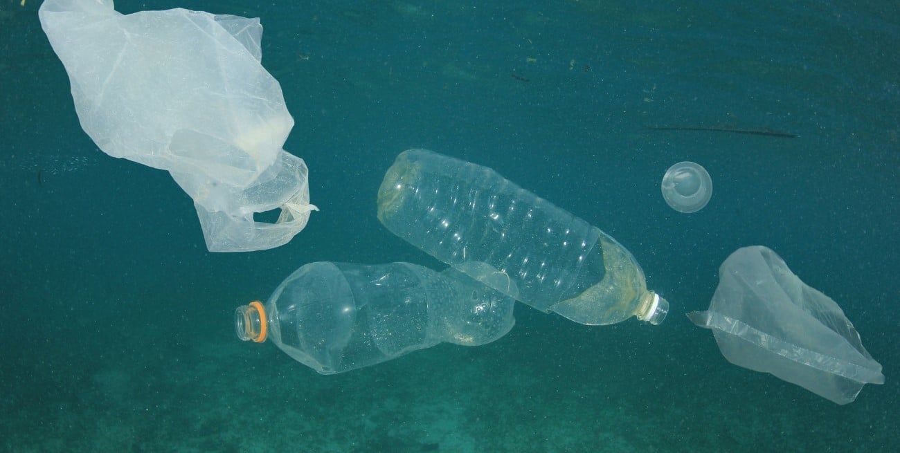 Nanoplásticos y agua potable: cómo favorecen la persistencia de virus y bacterias