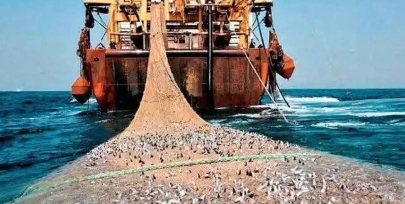 Explotación ilegal en el Atlántico Sur: Malvinas, en el centro de la disputa por recursos