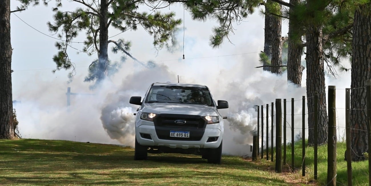 Provincia refuerza acciones preventivas ante la proliferación de mosquitos en Colonia Mascías