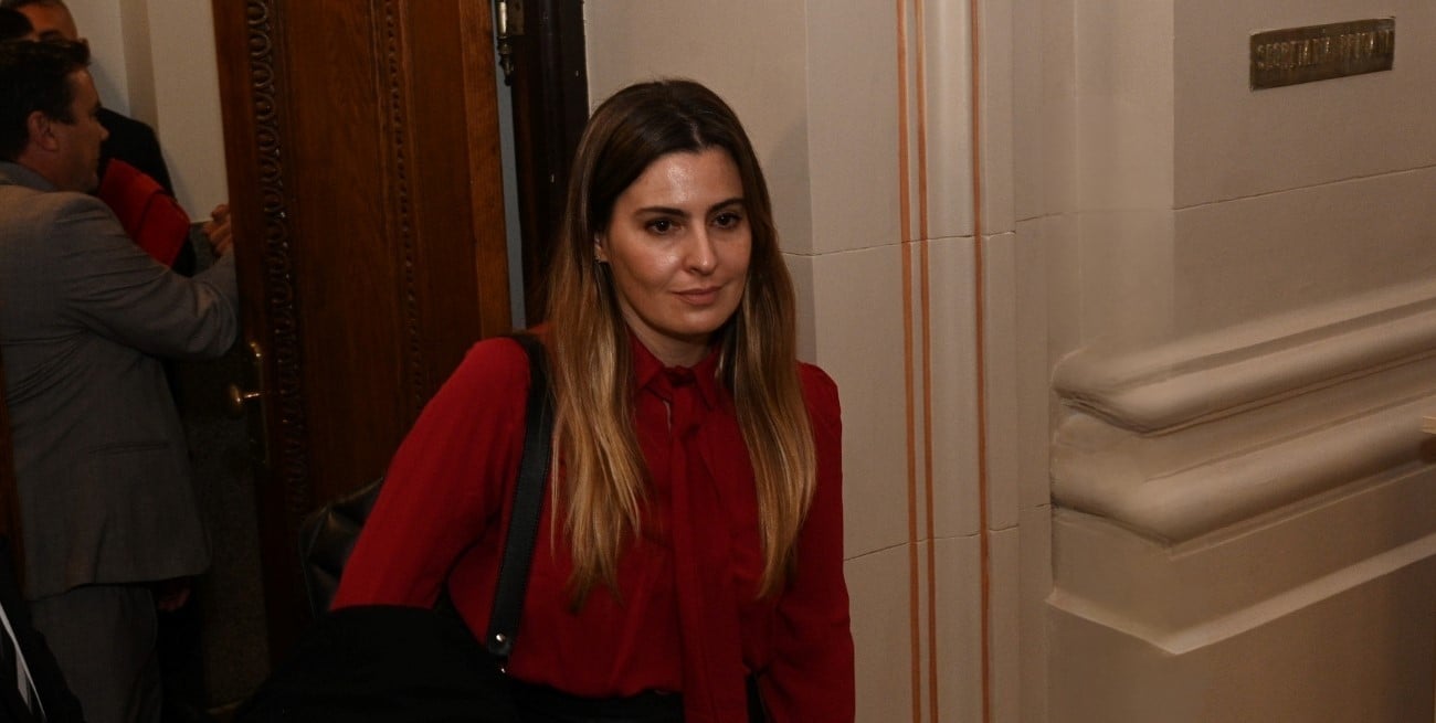 Ley Orgánica de Municipios en Santa Fe: cuáles son los puntos que observa el Socialismo