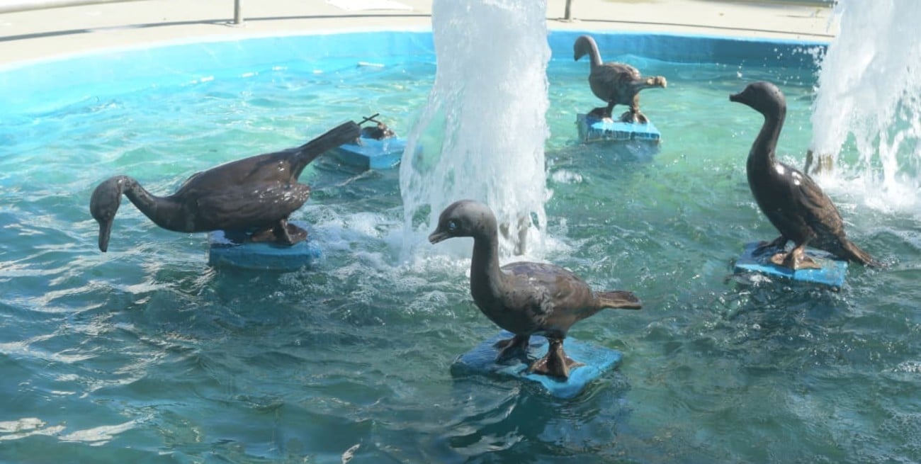 “Voló” un biguá de la fuente frente a Casa de Gobierno en Santa Fe