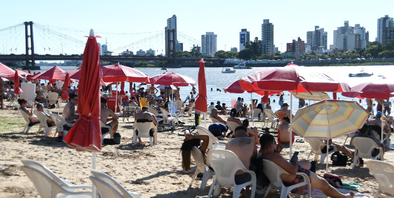 Casi 50 ataques de palometas en Victoria: qué pasa en la ciudad de Santa Fe