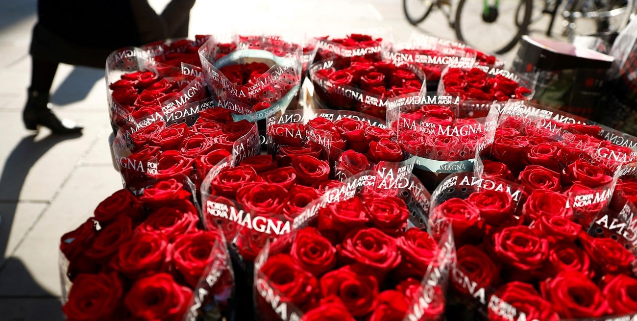 Este 7 de febrero comienza la semana de San Valentín con el Día de la Rosa