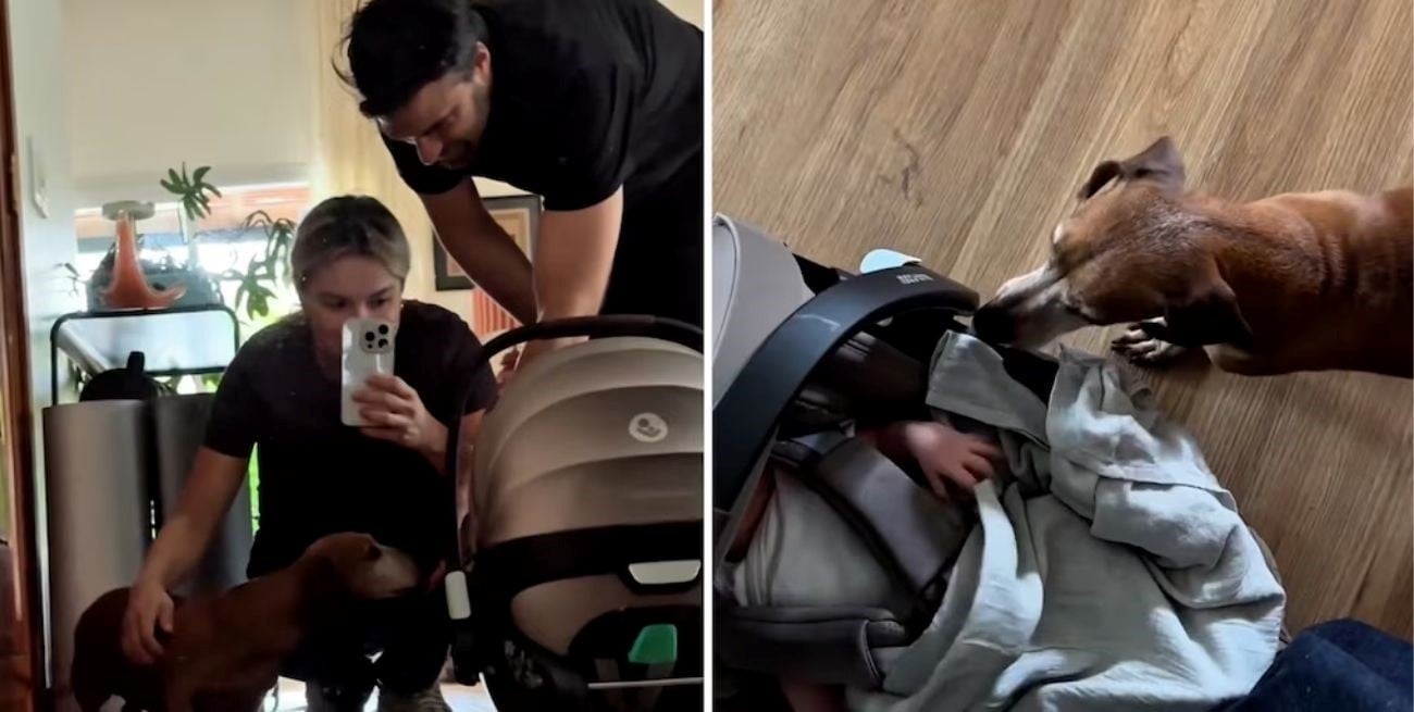 El tierno primer encuentro de Vito, el bebé de Sofía Pachano, con Apolo, el perro de la familia