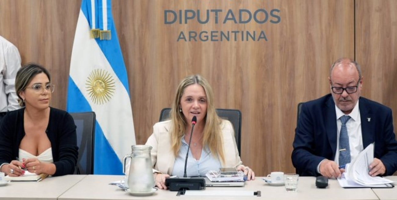 Agenda compleja y mayoría oficialista: Diputados eligió autoridades de comisiones