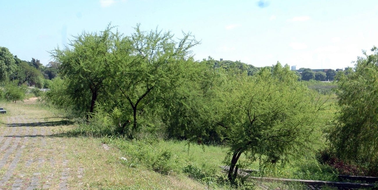 Realizan trabajos de mantenimiento en el talud de la Costanera Oeste de la ciudad de Santa Fe 