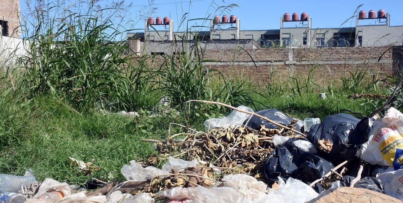 ¿Qué hacer con los yuyales de los terrenos baldíos? En el Concejo de Santa Fe plantean una solución