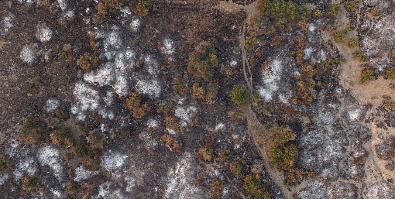 Incendios en Chubut: cómo sigue el operativo después de las lluvias