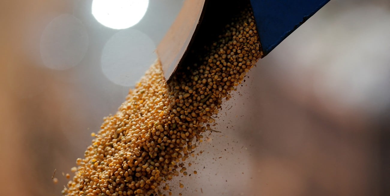 La Bolsa de Cereales de Entre Ríos advirtió una caída en el poder de compra de los granos frente a la maquinaria
