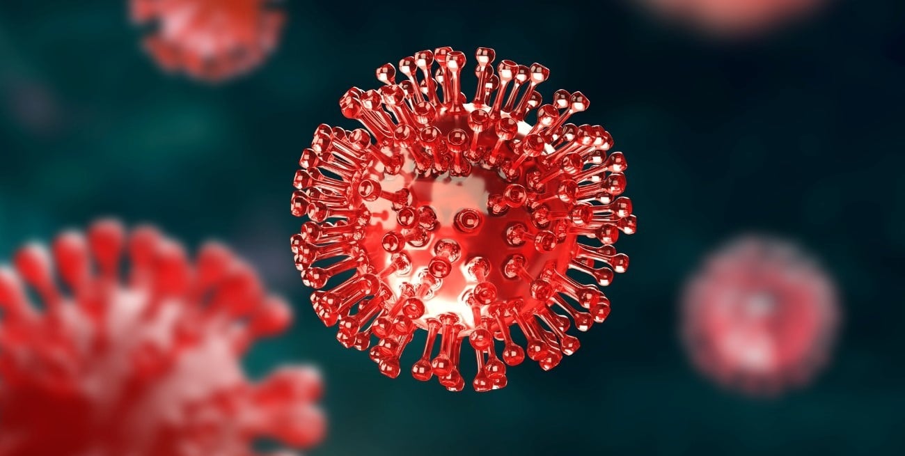 Cómo evolucionan el dengue, la gripe y el hantavirus en el país según datos oficiales
