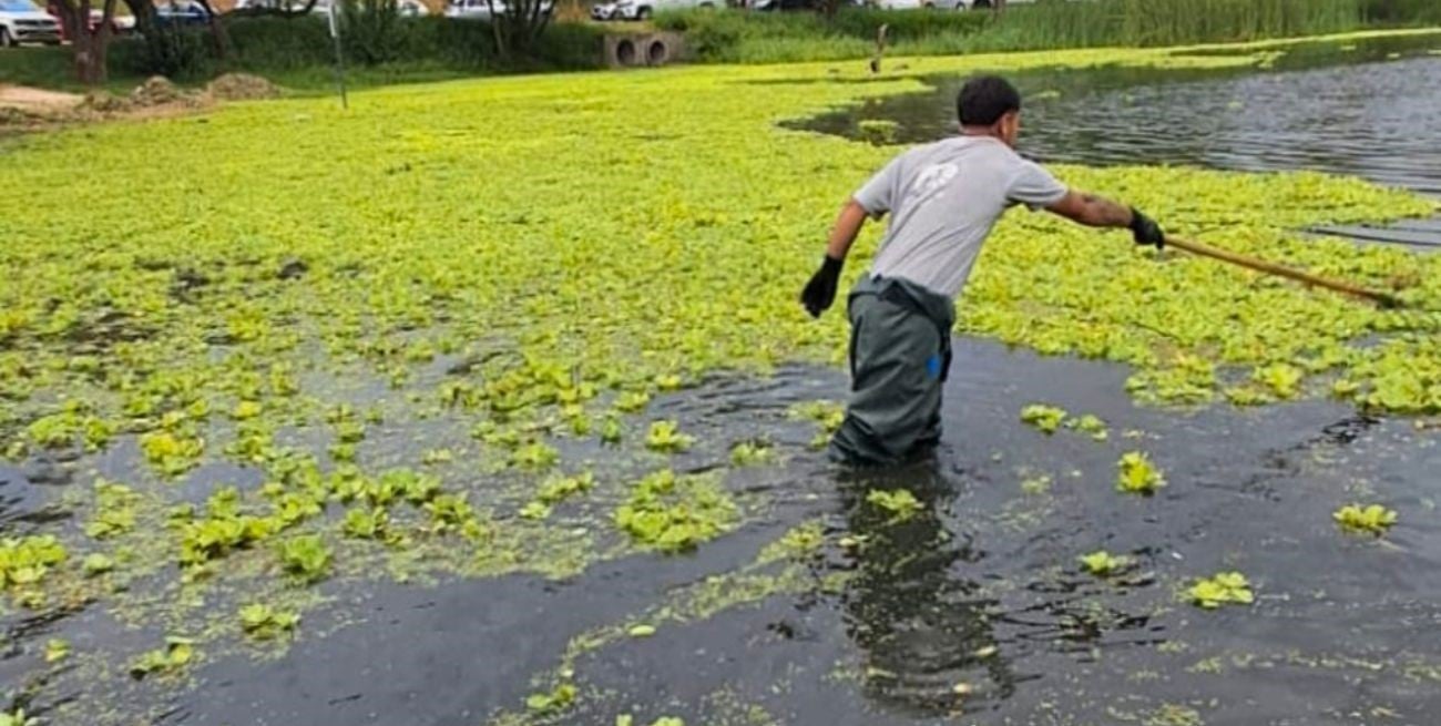 Refuerzan la limpieza del lago del Parque del Sur en la ciudad de Santa Fe