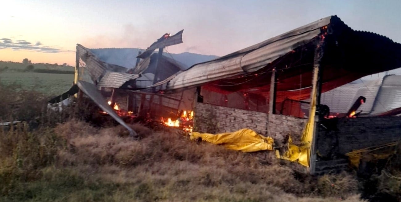 Entre Ríos: murieron 500 animales por incendio de un criadero porcino