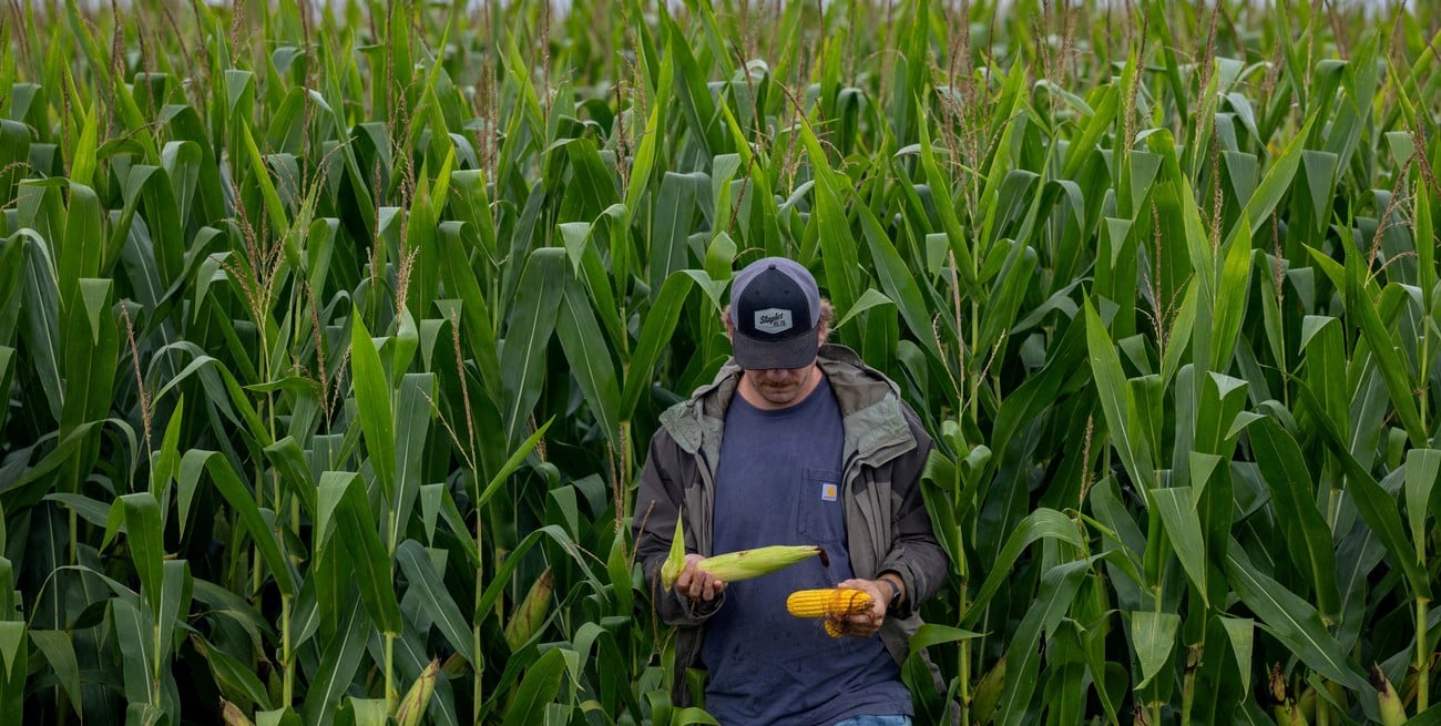 La inversión del campo alcanza su máximo histórico: el índice de confianza se mantiene en niveles récord