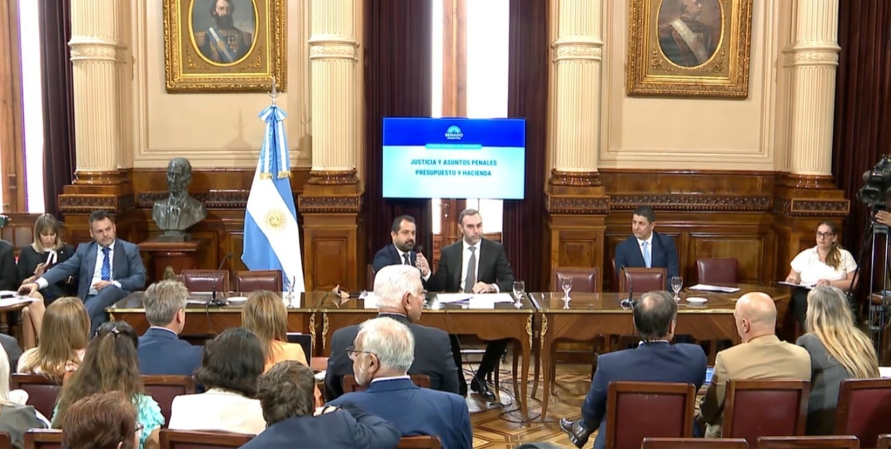 El Senado nacional debate en comisiones la Ley Penal Juvenil
