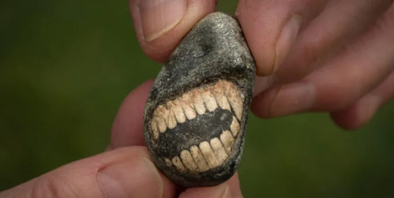 Fue a pasear a la playa de Holy Island y encontró un “fósil sonriente” con una asombrosa historia