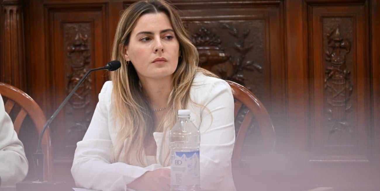 Cattalini: "La legitimidad de la Corte se construye con participación ciudadana"