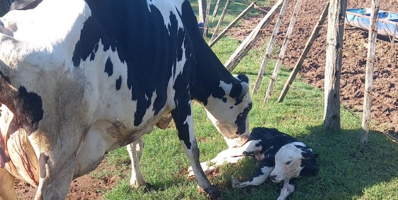 Resistir bajo el cielo: lluvia y esperanza en un tambo de Nuevo Torino