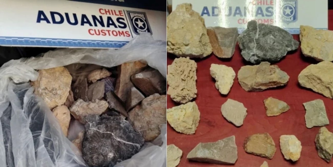 Intentó cruzar a Chile 18 restos fósiles ocultos en el baúl y fue detenido