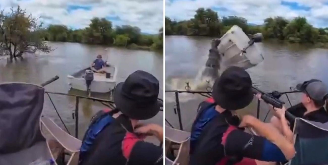 Impactante escena en Sudáfrica: un hipopótamo atacó una embarcación, la volcó y arrojó a un hombre al río