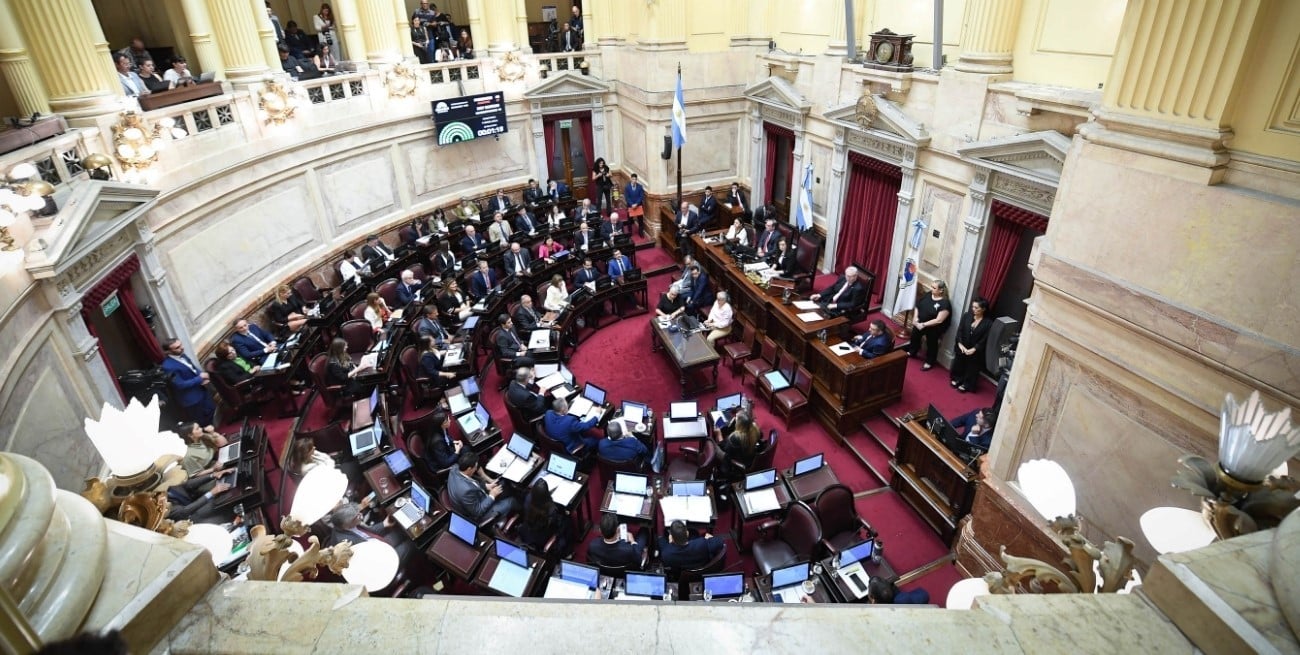 Una senadora nacional pidió votar virtualmente la ley de Tierras por estar embarazada
