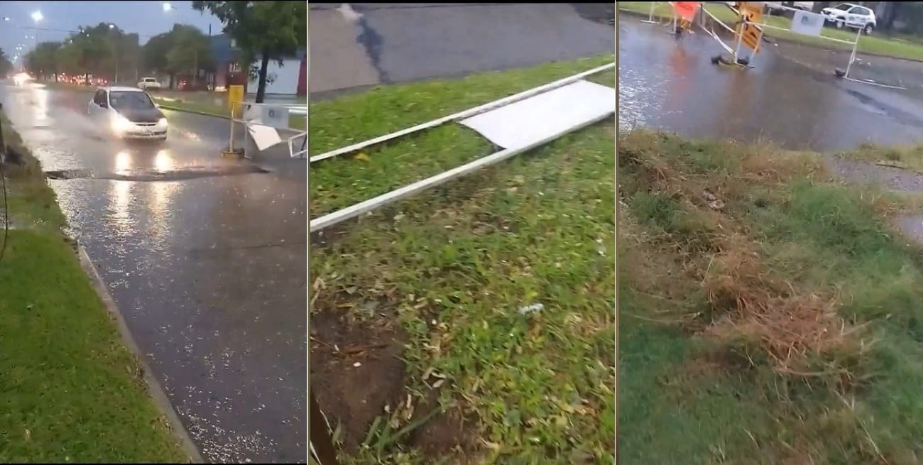 Tormenta en Santa Fe: 29 árboles y 20 postes caídos tras fuertes lluvias del martes