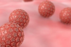 El Virus del Papiloma Humano es una de las infecciones de transmisión sexual más frecuentes