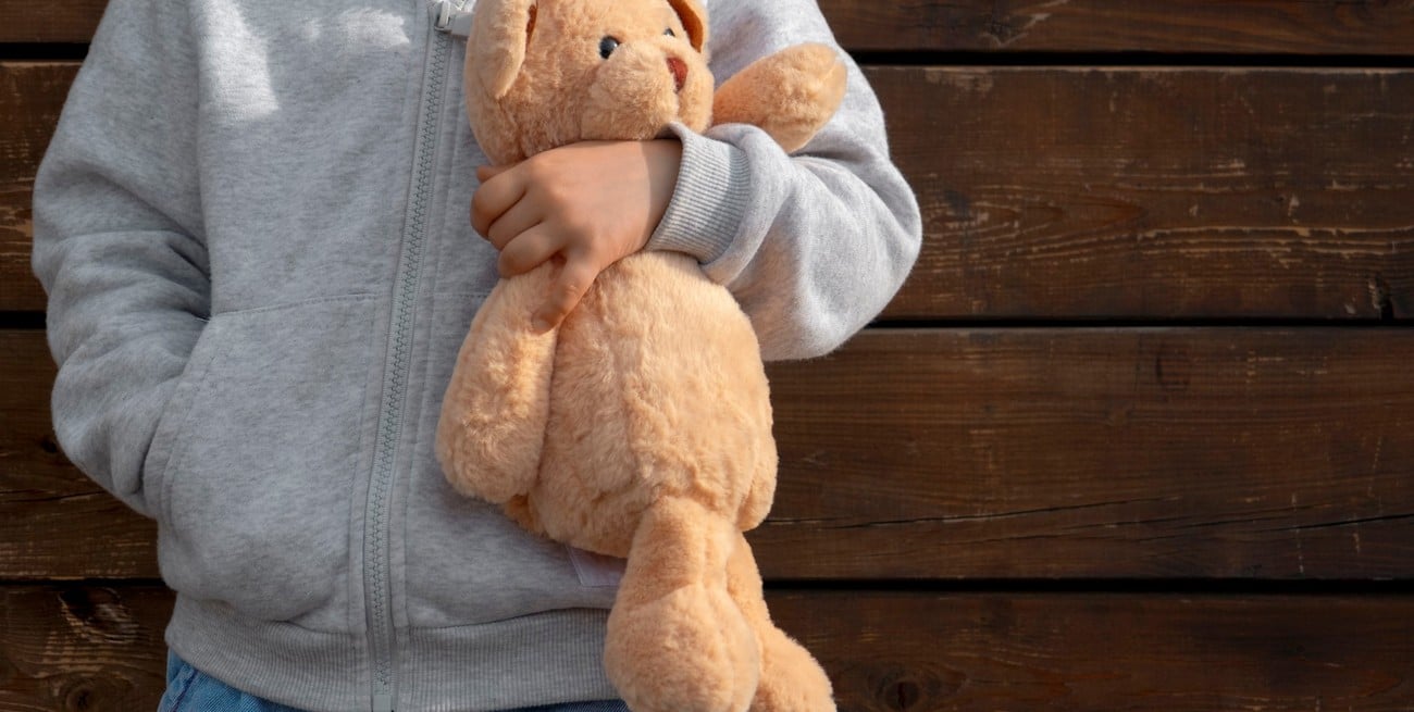 El curioso caso de la niña que perdió su querido peluche, y una oficina municipal se lo encontró