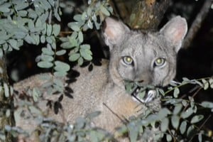 Foto: Archivo/Gentileza EDXD