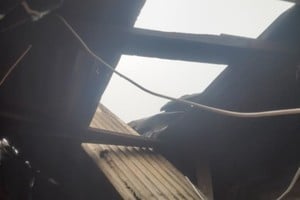 Temporal en Casilda: árboles caídos y voladuras de techo