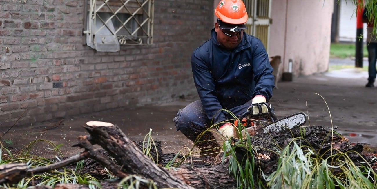 Villa Gobernador Gálvez: continúan los trabajos de remoción de árboles tras el temporal
