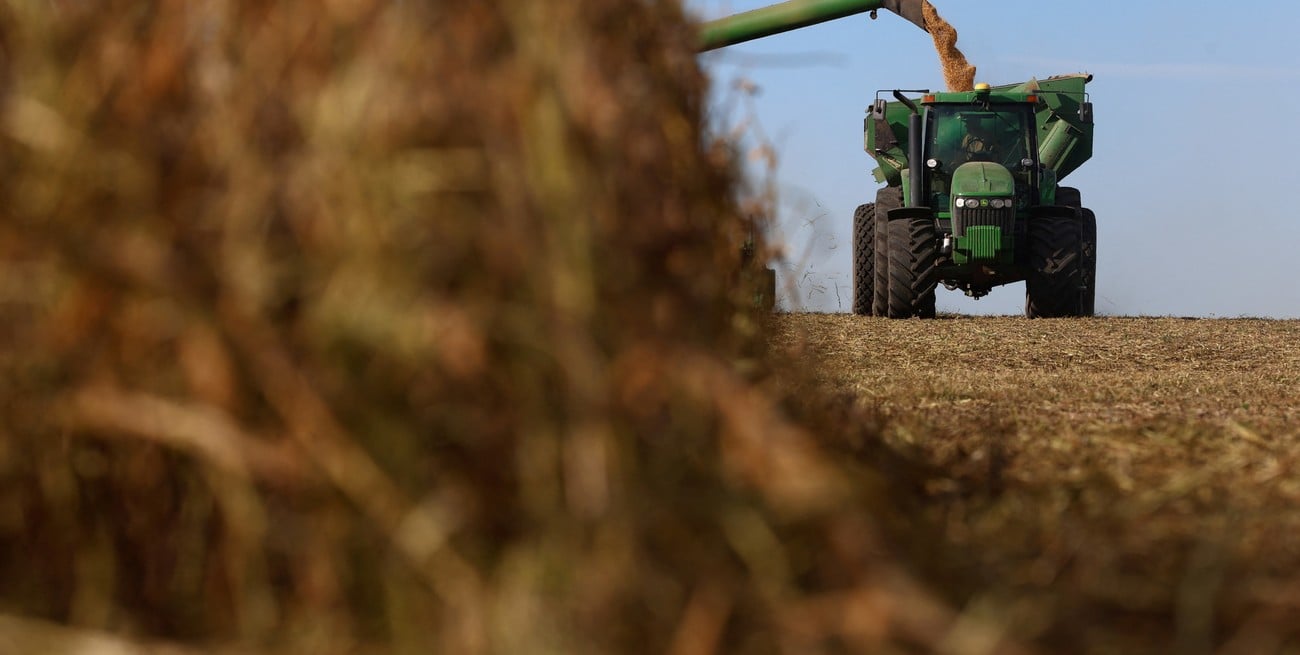 Cosecha récord, márgenes asimétricos e inversión privada: El panorama económico 2026 para el agro