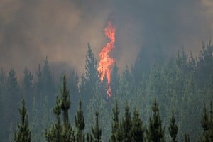 Las llamas se elevan durante un incendio forestal en la región del Biobío, Chile. REUTERS/Adriano Machado
