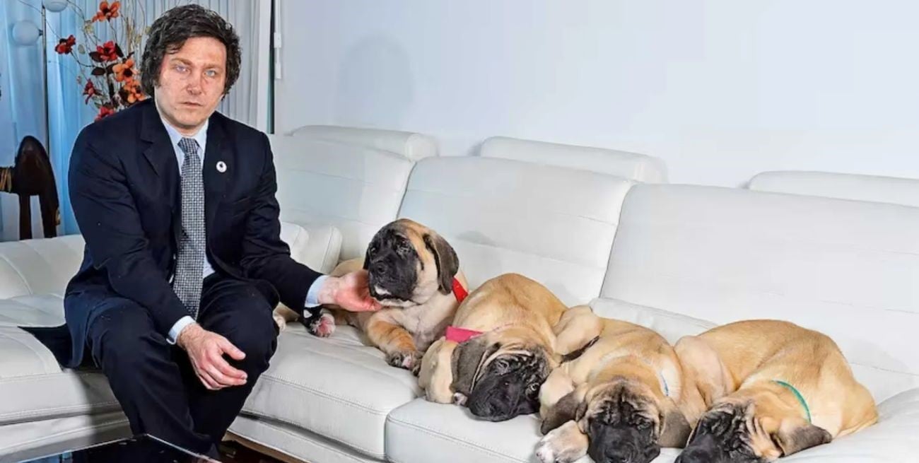 Duelo en la Quinta de Olivos: murió Robert, uno de los perros del presidente Javier Milei