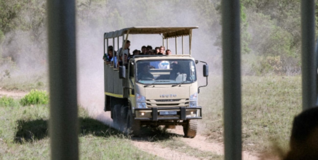 El CRAI ya vive su experiencia en Sudáfrica