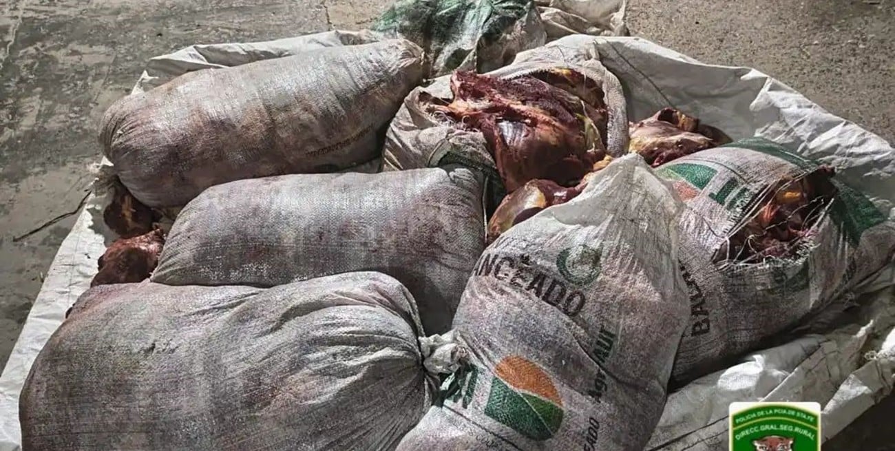 Cuatrero condenado por atropellar a un subcomisario en un control sobre la Ruta 1