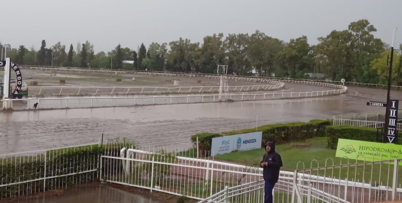 Tormentas y complicaciones en Mendoza: rescates, árboles caídos y Vendimia reprogramada


