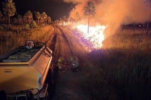 Las tareas se prolongaron hasta la madrugada. Foto: @ParquesOficial