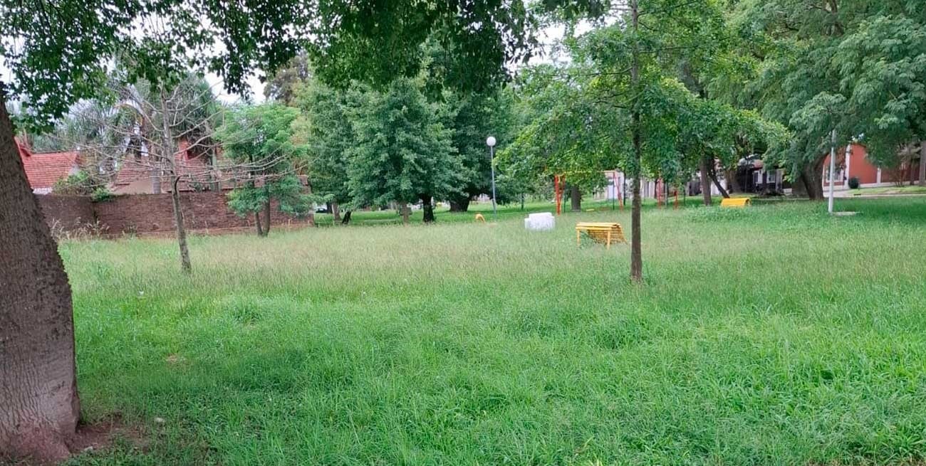 Una plaza tapada de yuyos desde diciembre preocupa a vecinos de barrio Ledesco