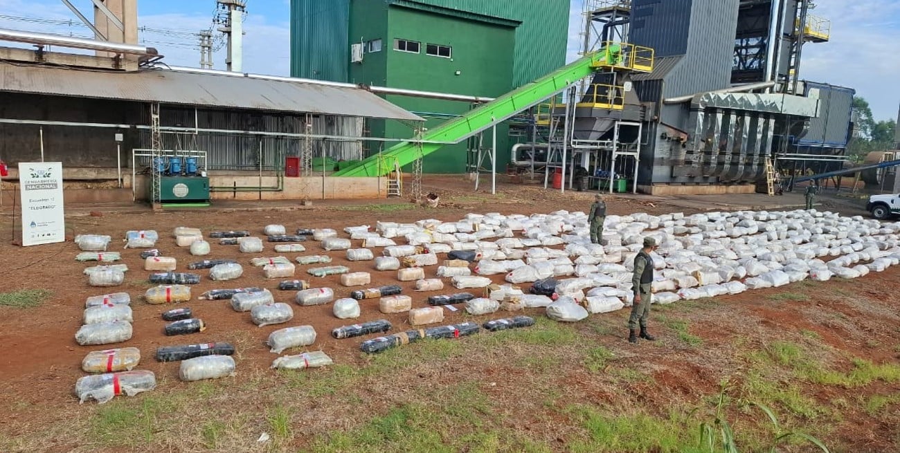 Quemaron más de nueve toneladas de marihuana secuestrada en Misiones