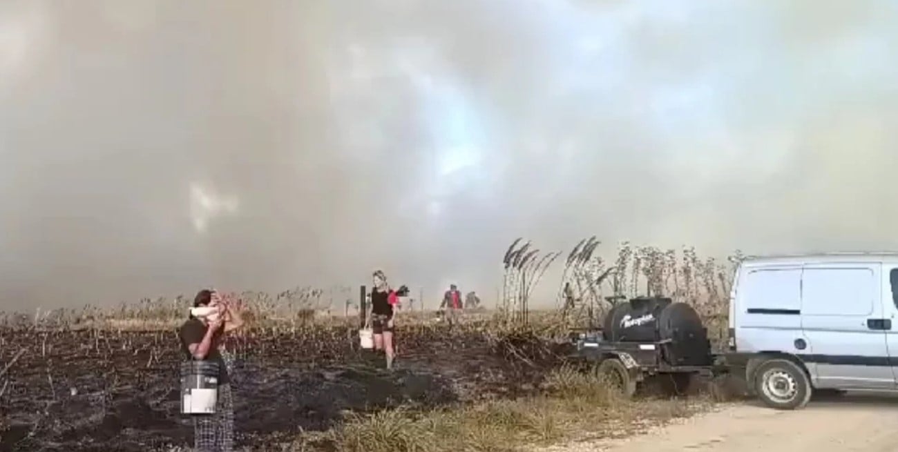 Incendios cerca de Mar del Plata: el fuego ya arrasó más de 200 hectáreas
