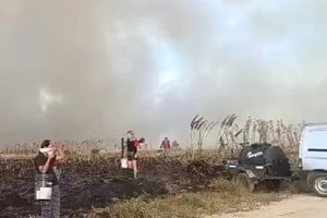 Los incendios forestales en los alrededores de Mar del Plata no dan tregua.