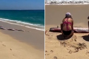 El extraño hallazgo de dos peces de aguas profundas en México volvió viral una vieja superstición.