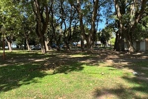 Sin mobiliario adecuado ni propuestas integrales, los ciudadanos utilizan el césped como refugio improvisado.