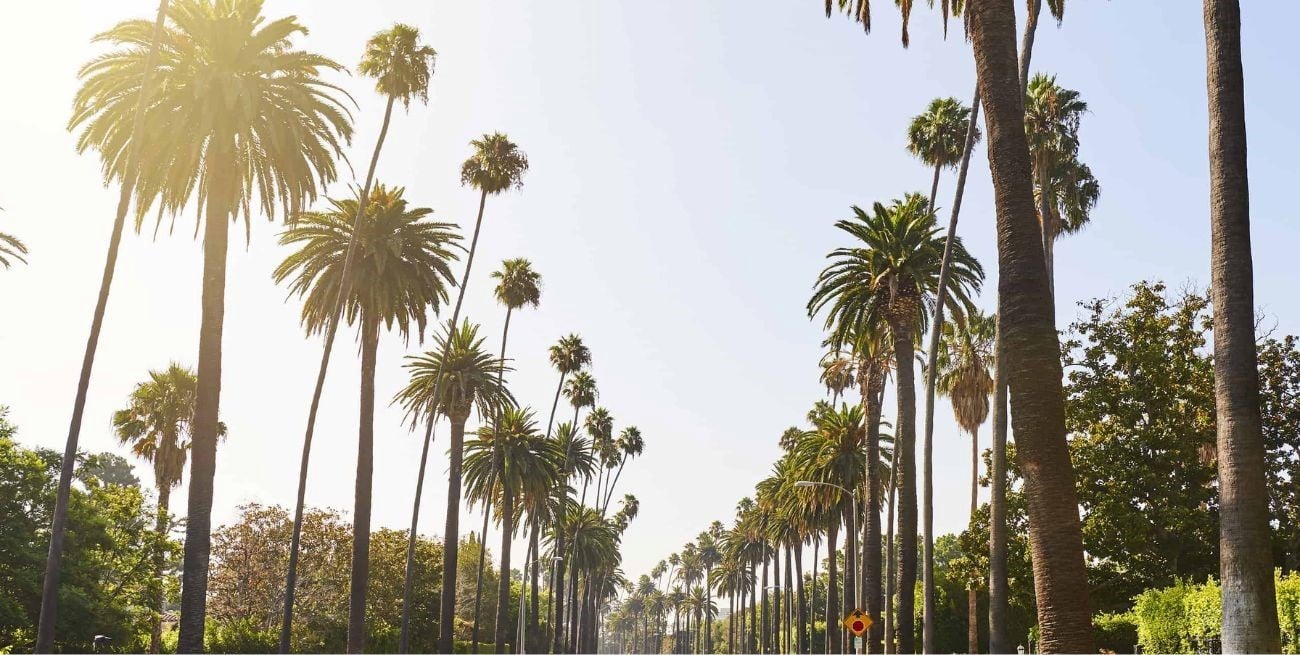 Ola de calor histórica en California: los termómetros rozan los 38 grados en un marzo inédito