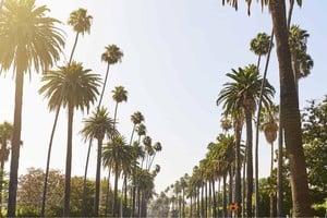 Ciudades como Los Ángeles, Long Beach y Fullerton han visto dispararse sus termómetros más de 10 grados por encima del promedio normal para esta fecha.