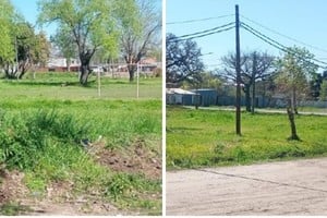 El procedimiento se realizará de manera electrónica