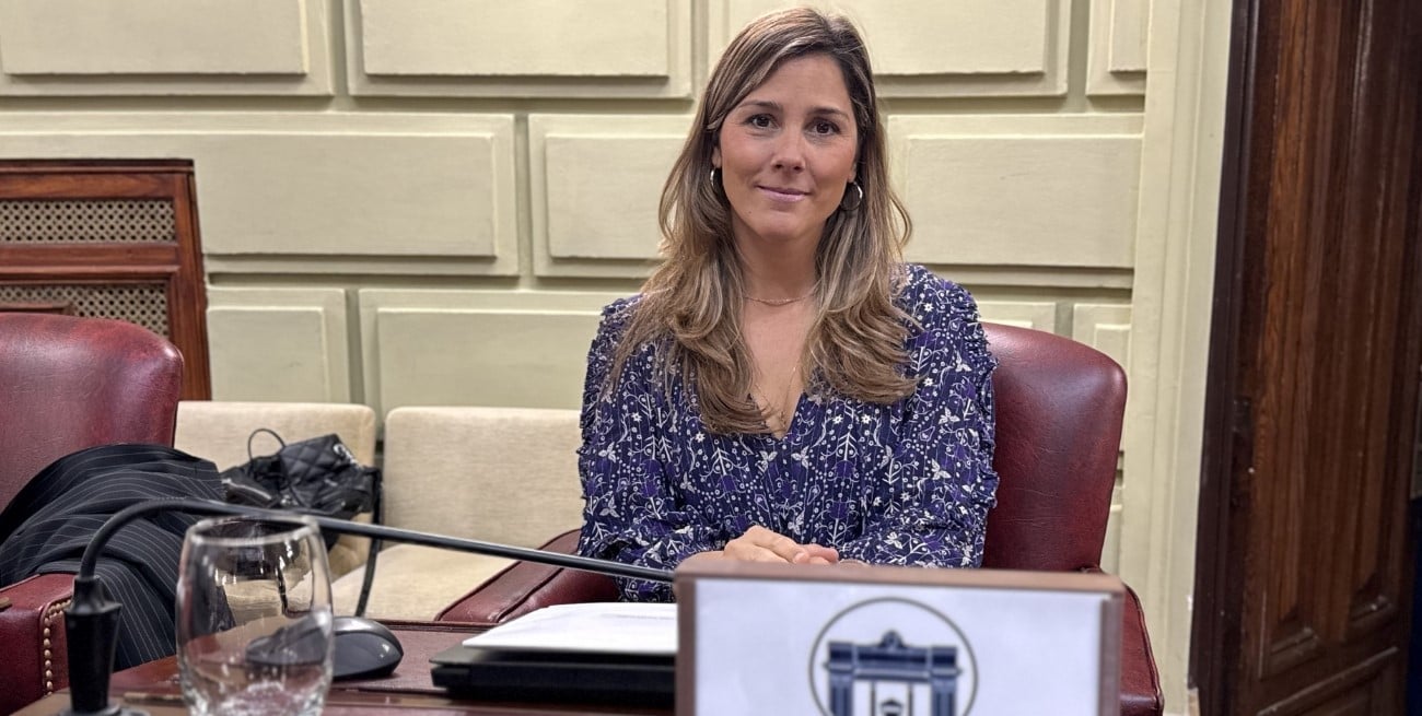 Cámara de Diputados: media sanción para el proyecto de Salud Mental Perinatal