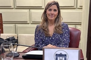 La diputada provincial Ximena García.