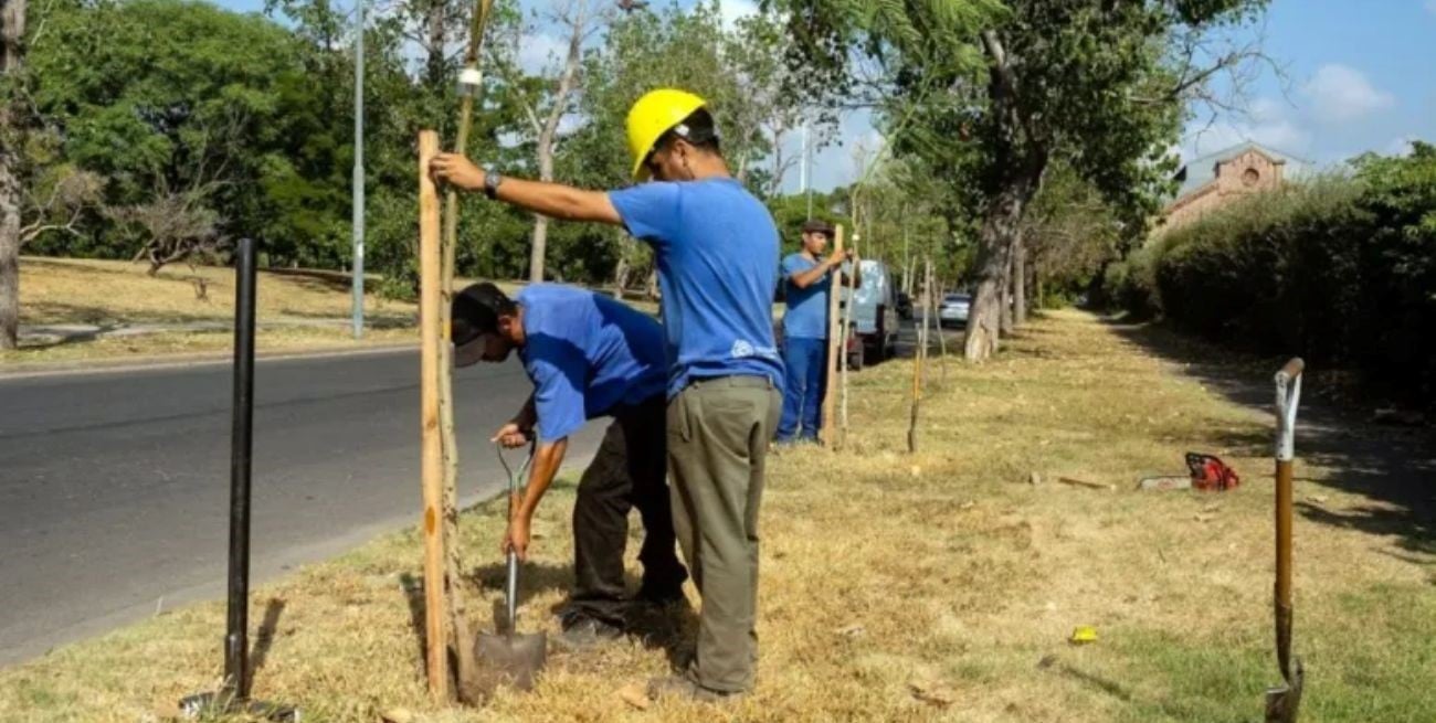 Rosario impulsa el registro de huella de carbono para empresas e instituciones